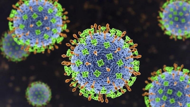 Dấu hiệu cúm thường gặp và những sai lầm khi tự điều trị 1 Virus Nipah là gì? Nguyên nhân, triệu chứng, đường lây và các biện pháp phòng ngừa | Phòng Khám Đa Khoa Ngọc Minh
